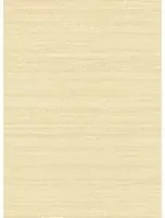 Elitis Tapete Kosa Silk - VP 928 10