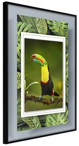 Poster  Toucan in the Frame  Cornice Quadri Cornice nera, Larghezza x Altezza Home decor 40x60