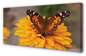 Quadro su tela Fiore di farfalla colorato 100x50 cm