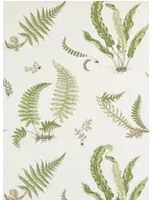 GP & J Baker Carta da parati Ferns - Leaf