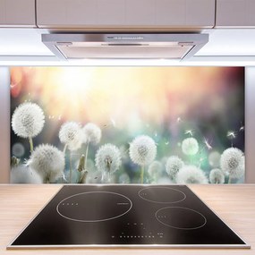 Pannello cucina paraschizzi Fiori di tarassaco Natura 100x50 cm