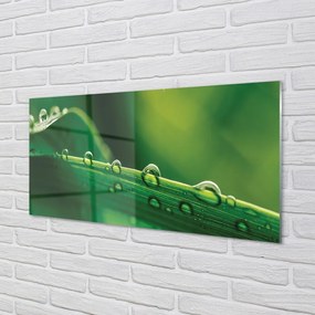 Quadro di vetro Macro gocce d'erba 100x50 cm 2 appendini