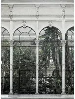 Rebel Walls Carta da parati panoramica Dove Gardens - White