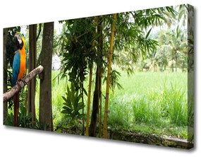 Quadro su tela Natura dell'albero del pappagallo 100x50 cm