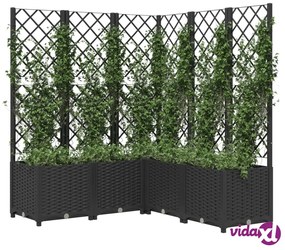 vidaXL Fioriera da Giardino con Graticcio Nero 120x120x136 cm in PP
