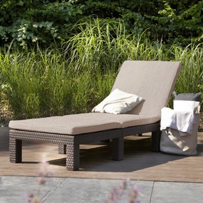 Lettino Prendisole Daytona Marrone /