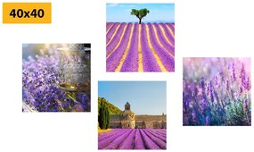 Set di quadri – Ricchezza della lavanda