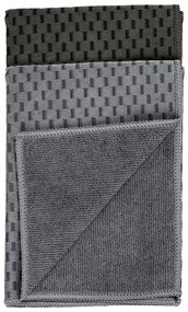 Set di 2 panni in microfibra 40x60 cm Miko - Wenko