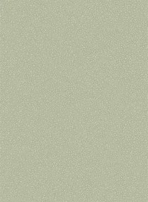 Cole & Son Carta da parati Pebble - Sage