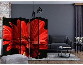 Paravento Red gerbera flower II [Room Dividers]