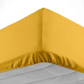 Lenzuolo giallo in cotone elasticizzato 180x200 cm Lina - douceur d'intérieur