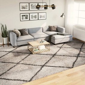 Tappeto Shaggy Pamplona Pelo Lungo Beige E Antracite 300x400 Cm /