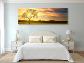 Quadro su tela – Albero solitario