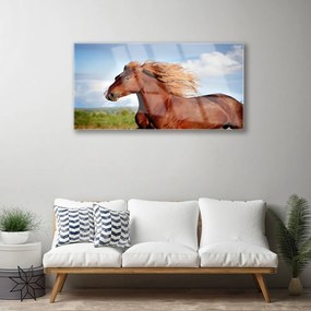 Quadro acrilico Animali da cavallo 100x50 cm