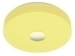 Eglo 96819 - Plafoniera LED RGB dimmerabile BERAMO-C LED/17W/230V