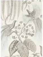 Exotische Tapete Bird of Paradise von Sanderson - Linen