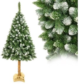 Albero di Natale su tronco di pino 180 cm