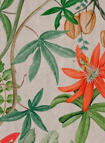 NLXL Carta da parati Passiflora - UON-11