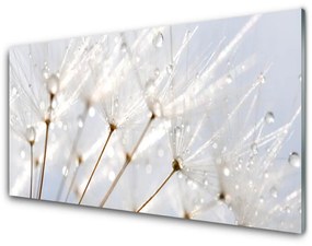 Quadro in vetro acrilico Pianta di tarassaco 100x50 cm