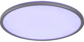 Rabalux 2290 - Plafoniera dimmerabile LED RGB RASMUS LED/22W/230V + telecomando