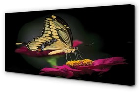 Foto quadro su tela Farfalla di fiori 100x50 cm