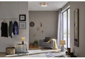 Paulmann 79687 - 3xE27/20W Plafoniera NEORDIC LISKA 230V noce