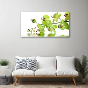 Quadro in vetro Fiori Pianta naturale 100x50 cm