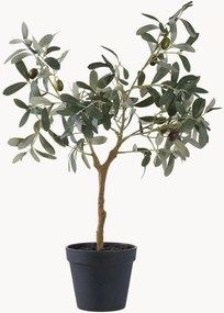Pianta artificiale Olive