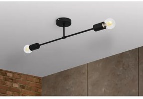 Lampadario a plafone CAMBRIDGE 2xE27/15W/230V nero