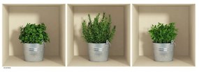 Set di 3 adesivi con effetto 3D Erbe in vaso - Ambiance