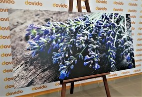 Stampa su tela – Bouquet di lavanda