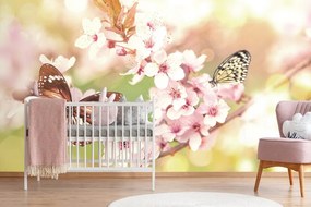 Carta da parati autoadesiva – Fiori primaverili con farfalle esotiche