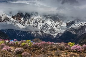 Stampa su tela – Paesaggio montano unico