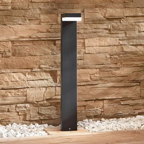 Lampioncino da giardino Dionys Lindby, Nero, Acciaio Inox, Moderno, Lampada LED da esterni