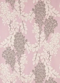 Wisteria von Farrow & Ball - Cinder Rose/ Joa's White/ Charl