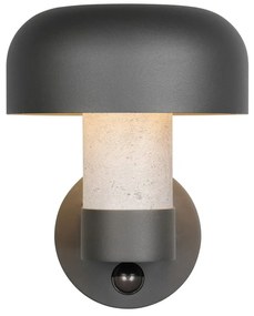 Illuminazione esterna con sensore di movimento da parete (altezza totale 24,5 cm) Fraser – Trio