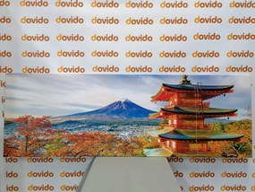 Quadro su tela – Monumento Pagoda Chureito