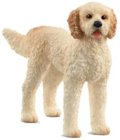 GOLDENDOODLE (5)