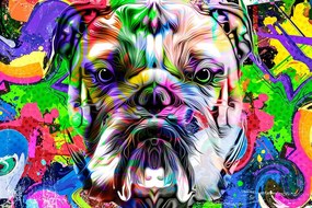 Carta da parati autoadesiva – Bulldog pop-art