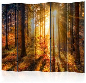 Paravento Sveglia autunnale II (5-parti) - paesaggio soleggiato in un bosco