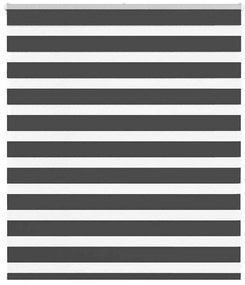 Tenda A Rullo Zebra Nero Larghezza Tessuto 115,9 Cm Poliestere /