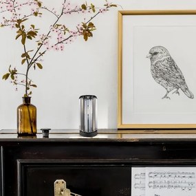 Rabalux 74206 - Lampada da tavolo VENESS 1xE27/40W/230V