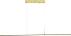 Zuma Line MS903-GD - Lampadario LED a sospensione con cavo ESERO LED/20W/230V dorato