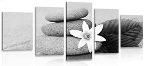 Quadri 5 pezzi – Fiore e pietre nella sabbia in bianco e nero