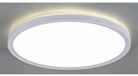 Rabalux 3428 - Plafoniera LED dimmerabile PAVEL LED/22W/230V