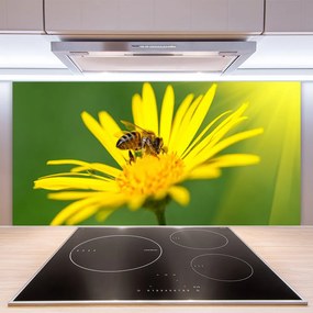 Pannello cucina paraschizzi Natura del fiore dell'ape 100x50 cm