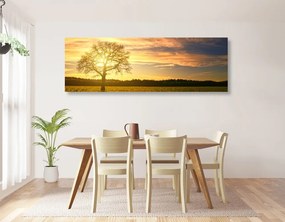 Quadro su tela – Albero solitario