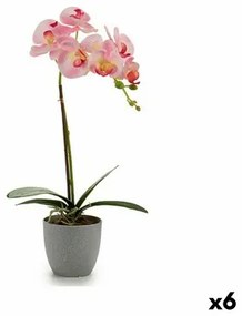 Pianta Decorativa Orchidea Plastica 13 x 39 x 22 cm (6 Unità)