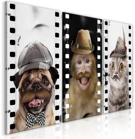 Quadro Funny Pets (Collection)