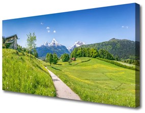 Quadro su tela Montagne. Prato. Sentiero. Valle 100x50 cm